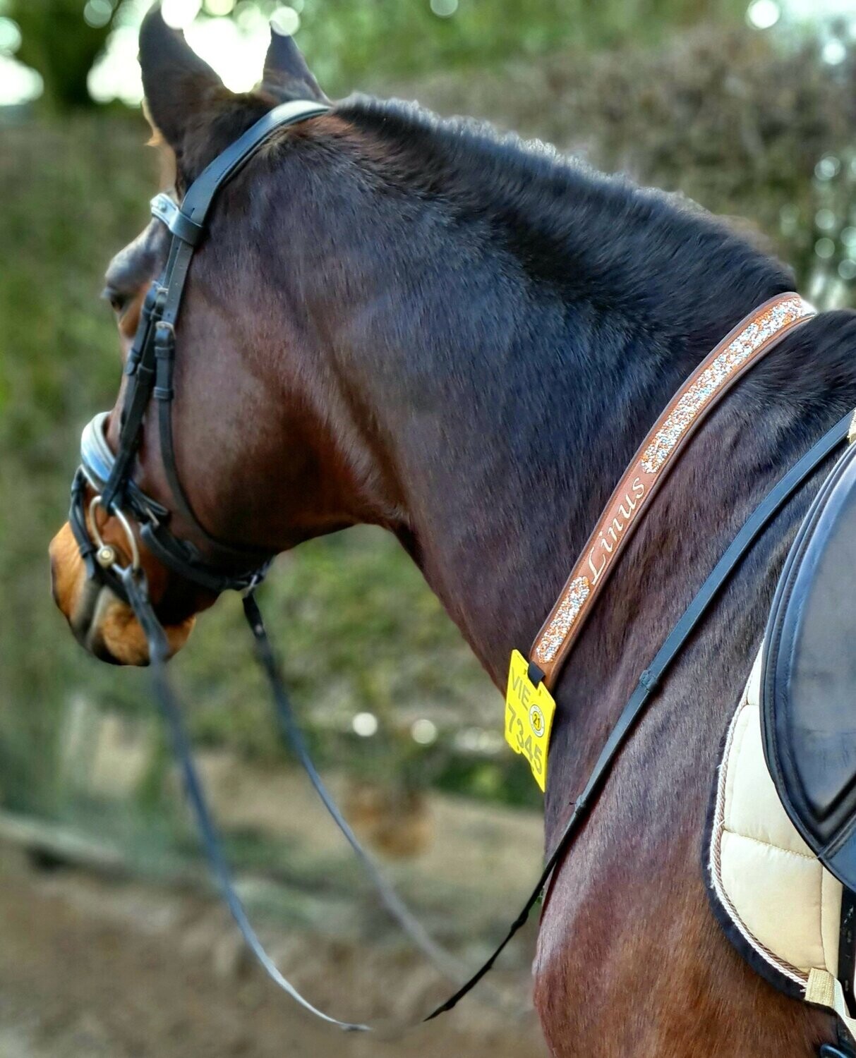 Kalino-Designer-Halsriemen für Reitkennzeichen aus Leder 2-seitig bestickt  mit Kunstleder gepolstert ab