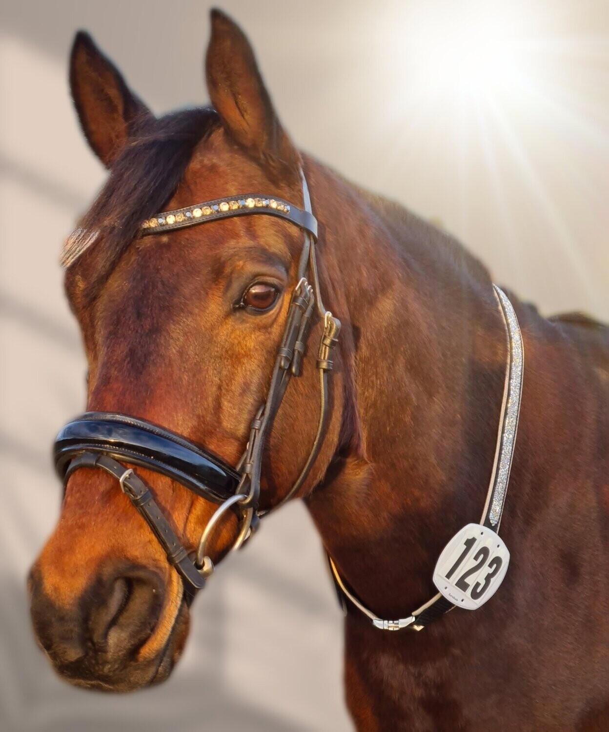 Kalino-Designer-Halsriemen aus Leder 1-seitig bestickt mit Kunstleder gepolstert inkl. Startnummern ab