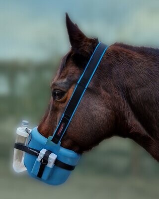 Halteriemen für Inhalationsmaske mit zusätzlichem Genickpolster