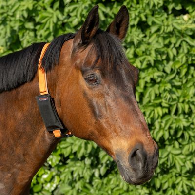 Kalino-Halsriemen mit Tasche für GPS Tracker bis max. 8,9x5,1x2,4cm, Tractiv DOG XL