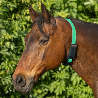 Kalino-Halsriemen mit Tasche für GPS-Tracker bis max. 9,7x5,1x2,3cm, Tractiv DOG XL Adventure