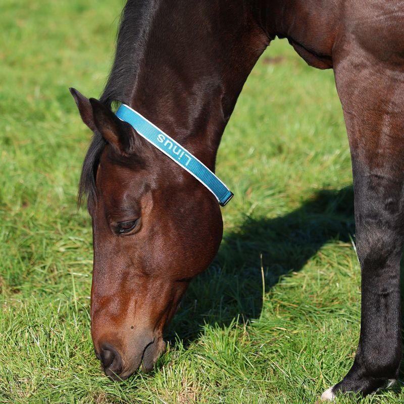 Halsriemen 1-seitig bestickt mit reflektierenden Softshell-Stoff gepolstert, inkl. Tasche für GPS-Tracker bis max. 8,9x5,1x2,4cm ab