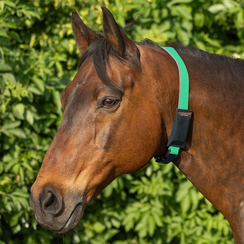Halsriemen ohne Bestickung mit reflektierenden Softshell-Stoff gepolstert, inkl. Tasche für GPS-Tracker bis max. 8,9x5,1x2,4cm ab Halsriemen ohne Bestickung mit reflektierenden Softshell-Stoff gepolstert, inkl. Tasche für GPS-Tracker bis max. 8,9x5,1x2,4cm ab