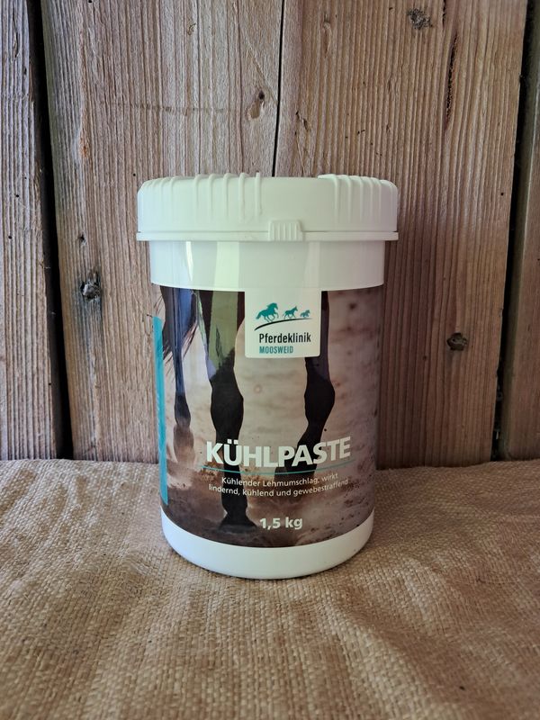 Kühlpaste
