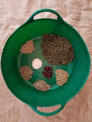 Ergänzungsfuttermittel