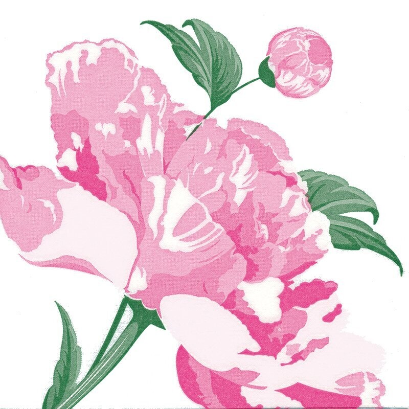 Paviot Serviette Paviot Serviette "Pivoine"