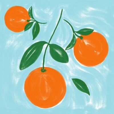 Paviot Serviette "Orange Amere"