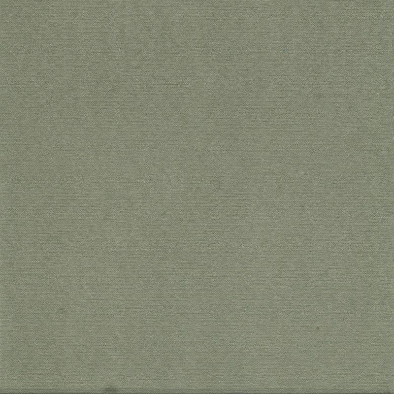 Paviot Serviette "Uni Vert Pale"
