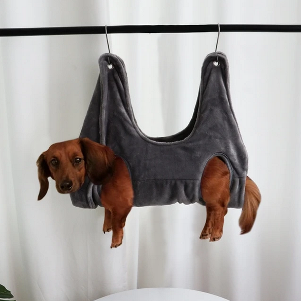 Cute Pet holder