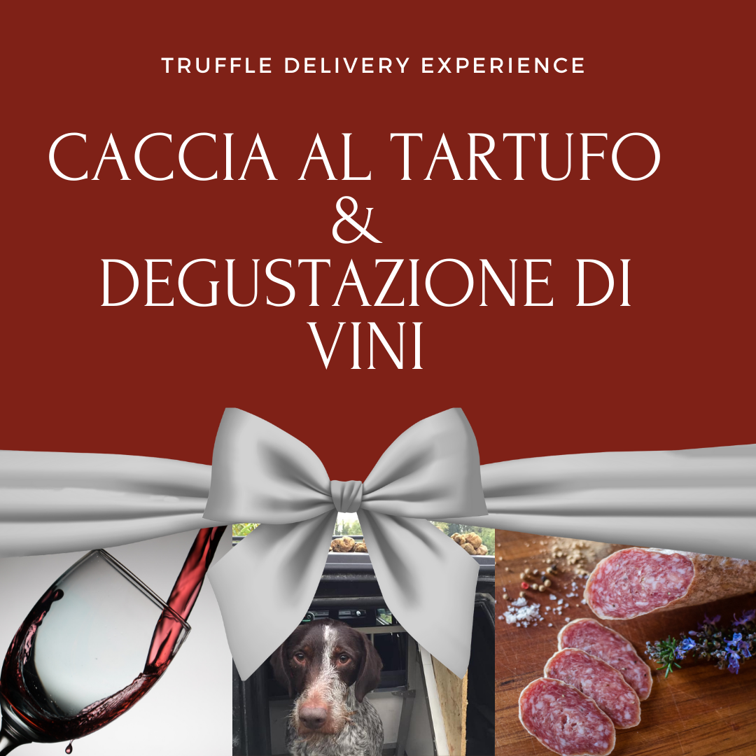 Caccia al tartufo &amp; Degustazione di Vini