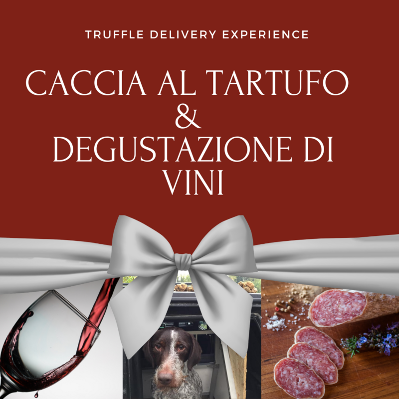 Caccia al tartufo &amp; Degustazione di Vini