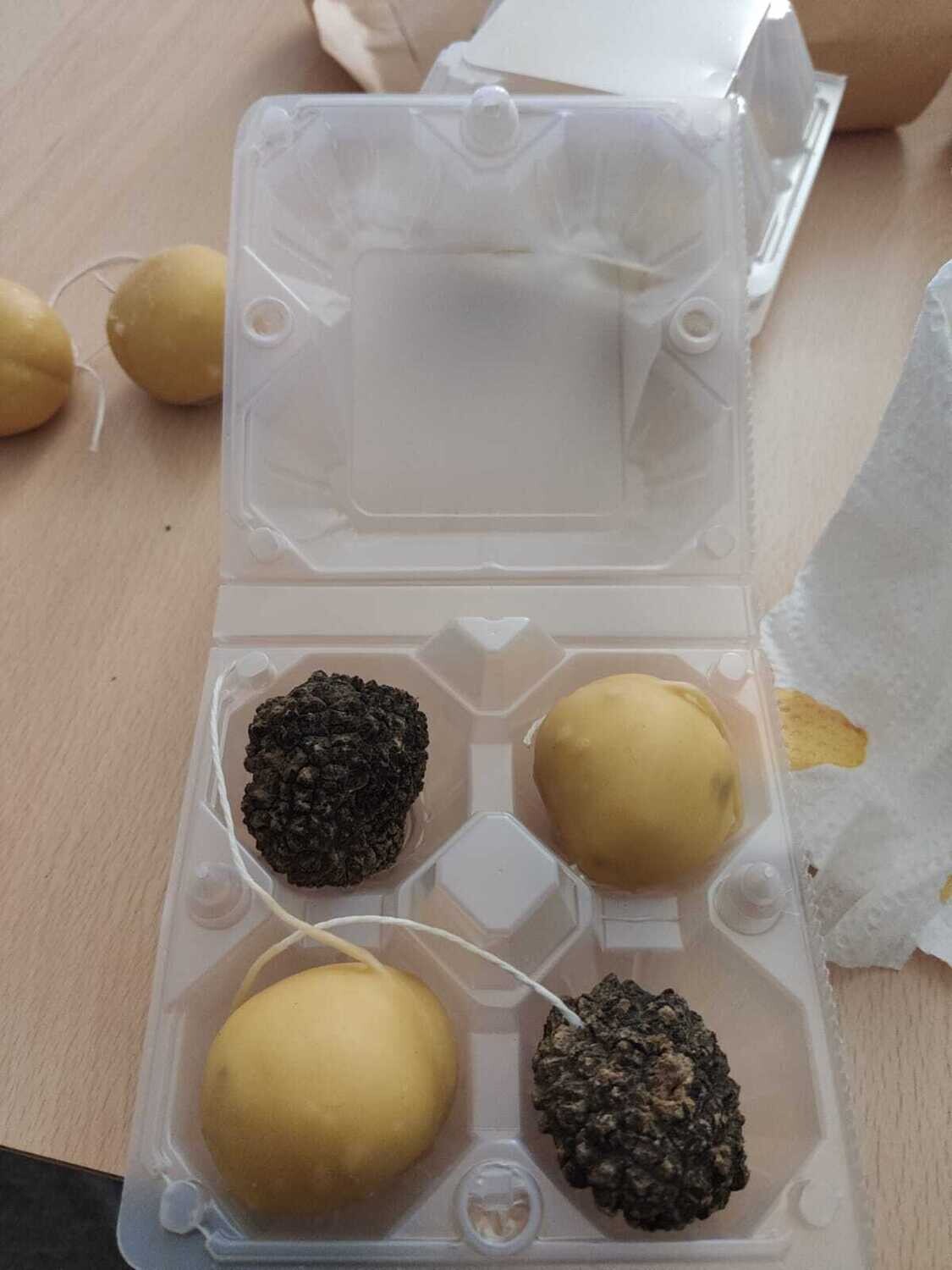 Truffle Kit Aperitif