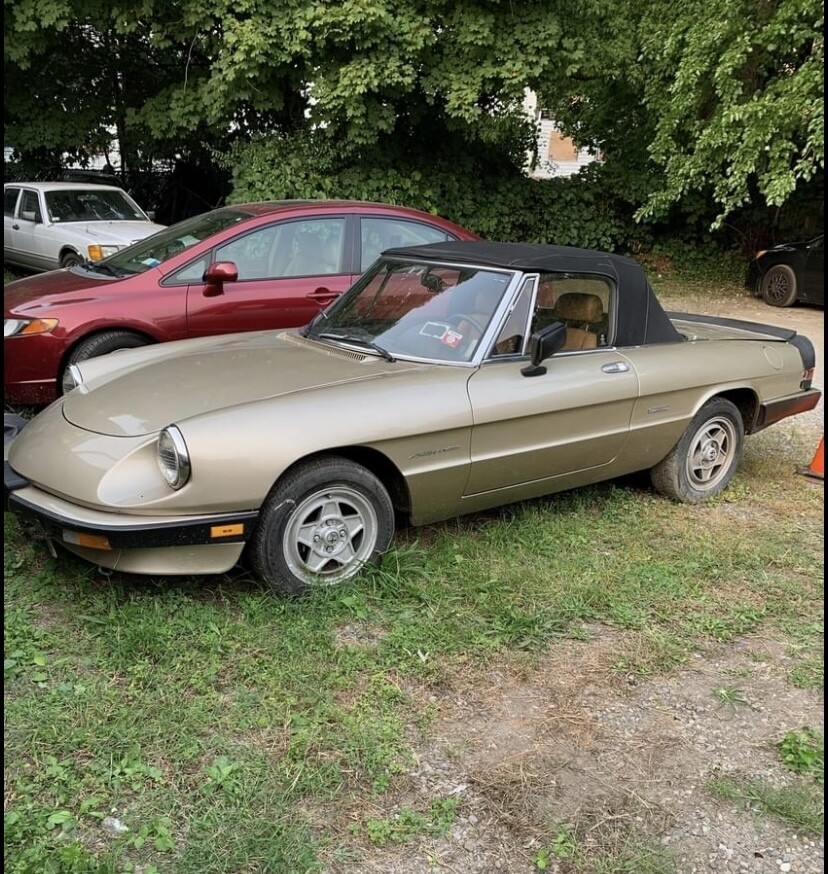 Alfa Romeo Spider