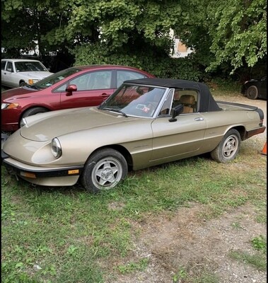 Alfa Romeo Spider