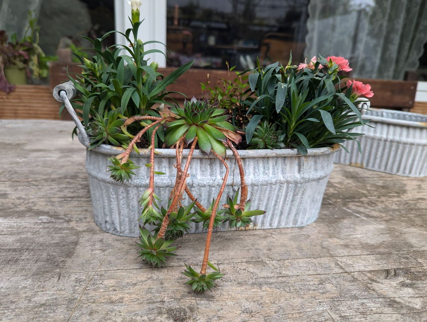 Pflanz-Jardiniere Metall, grauweiß gewischt; Rillenoptik; Henkelgriff Holz; used Look mittels Rostimitat; H10cm B11cm L28m