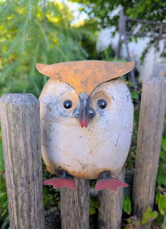 Dekofigur Eule, Metall bemalt; cremefarben mit orangem Augenschild; zum Stellen und als Zaunverhübscher; used Optik; H16cm B12,5cm T8,5cm Dekofigur Eule, Metall bemalt; cremefarben mit orangem Augenschild; zum Stellen und als Zaunverhübscher; used Optik; H16cm B12,5cm T8,5cm