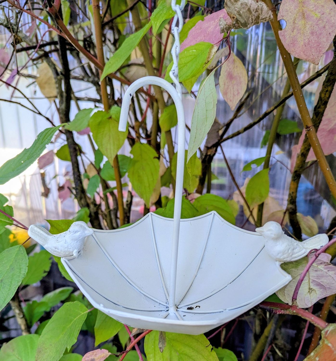 Vogelfutter-Schirmchen, Metall weiß beschichtet; zum Hängen;  Dm18,5cm T7,5cm KetteL 26,5cm H20cm