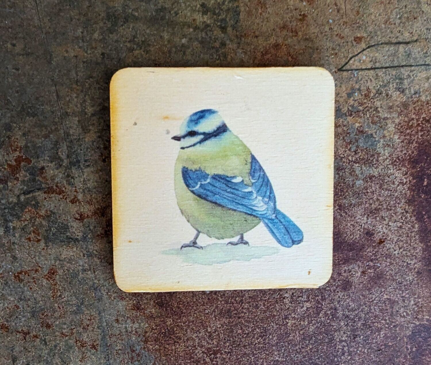 Magnet "Blaumeise" auf cremefarbenem Hintergrund Holz; 5,5 x 5,5cm;  Künstlerarbeit, Druck der Zeichnung auf Holzplättchen