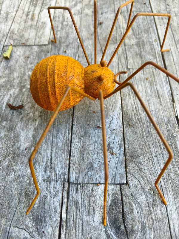 Deko-Spinne Metall Rost; H2,5-7cm B22cm, Körper L6cm; zum Aufhängen oder Stellen Deko-Spinne Metall Rost; H2,5-7cm B22cm, Körper L6cm; zum Aufhängen oder Stellen