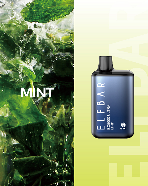 Elf Bar BC5000 Ultra Mint Disposable Pod Device
