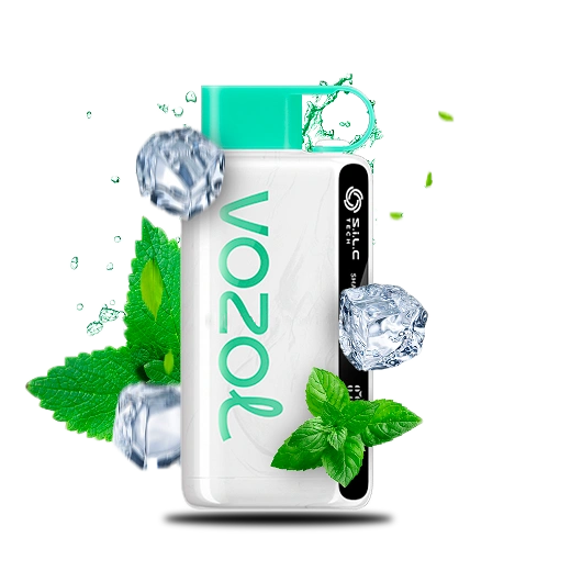 Buy VOZOL STAR 12000 Cool Mint Disposable Pod Device