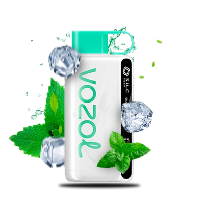 Buy VOZOL STAR 12000 Cool Mint Disposable Pod Device