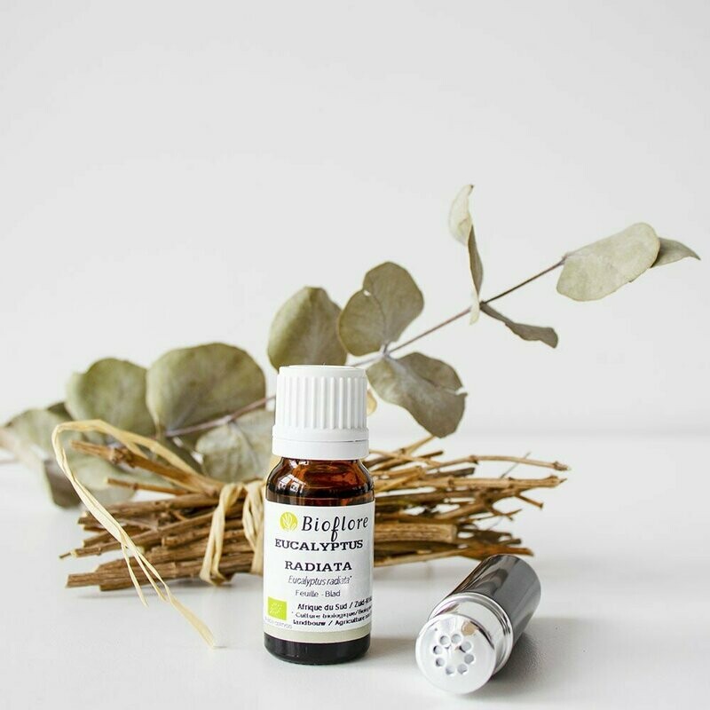 HUILE ESSENTIELLE D'EUCALYPTUS RADIÉ BIO