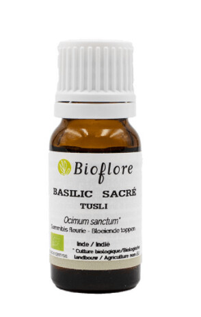 HUILE ESSENTIELLE DE BASILIC SACRÉ TULSI BIO