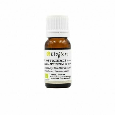 HUILE ESSENTIELLE DE LAVANDE OFFICINALE SAUVAGE BIO (LAVANDE FINE)