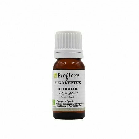 HUILE ESSENTIELLE D'EUCALYPTUS GLOBULUS BIO