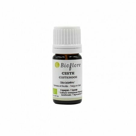 HUILE ESSENTIELLE DE CISTE LADANIFÈRE BIO
