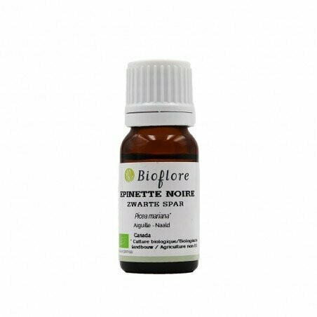 HUILE ESSENTIELLE DE EPINETTE NOIRE BIO