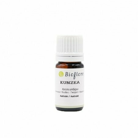 HUILE ESSENTIELLE DE KUNZEA