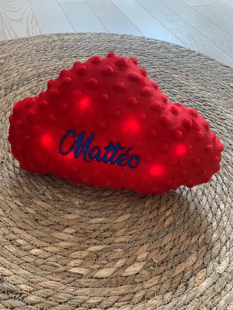 Coussin veilleuse transport