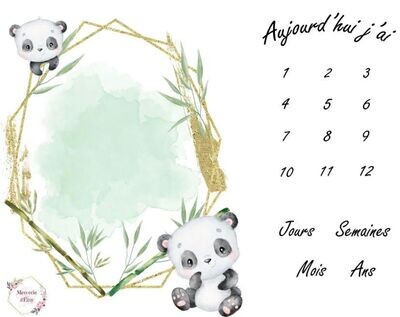 Tapis étape panda po