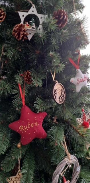 Etoile  de Noël