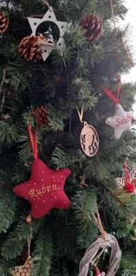 Etoile  de Noël