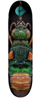 Powell Peralta Ruby Tailed Wasp Skateboard Deck 8.5