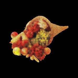 Dark Time Sunshine - Cornucopia CD