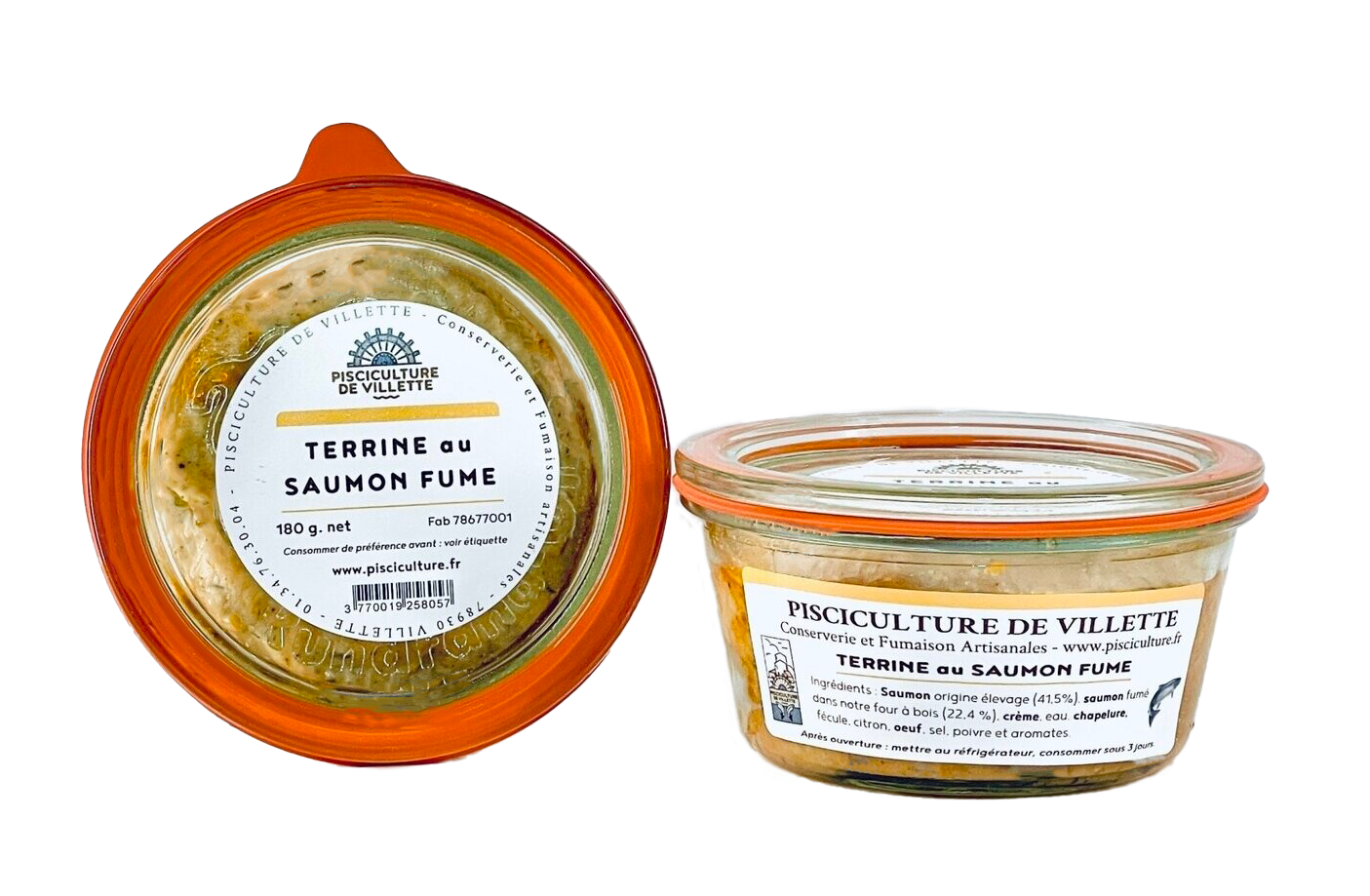 Terrine au Saumon fumé