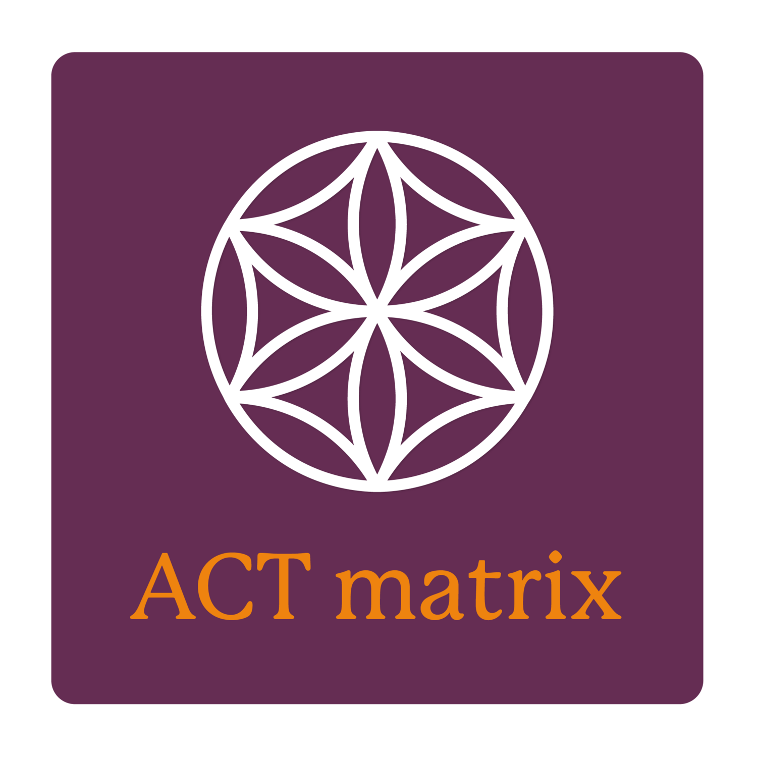 ACT Matrix | Zwolle | september 2024