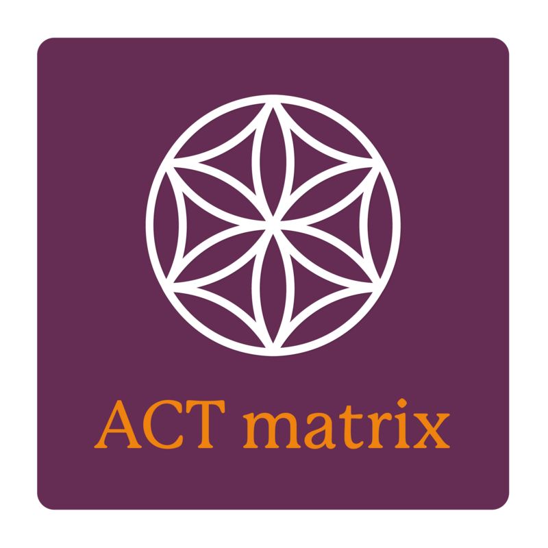 ACT Matrix Verdieping e-learning en praktijkdag | 13 september 2024