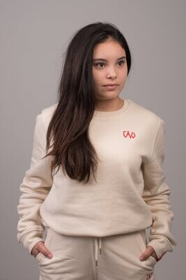 JAVD sweater | Beige
