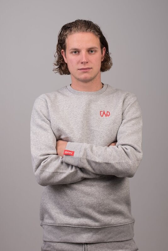 JAVD sweater | Grey
