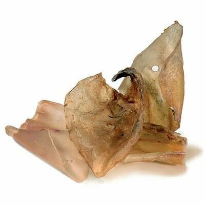 Oreilles de boeuf sechees 10 PCS Oreilles de boeuf sechees 10 PCS