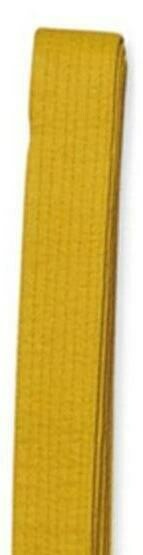 CINTURE MONO COLORE - BI COLORE