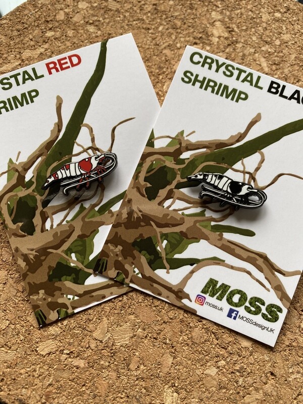 Crystal Shrimp Pin