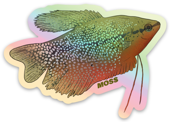 Pearl Gourami Sticker - Holographic