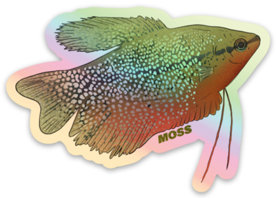 Pearl Gourami Sticker - Holographic