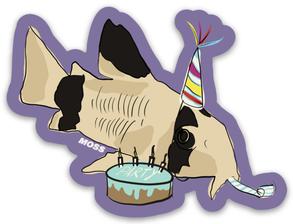 Party Panda (Cory) Sticker